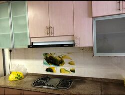 Blk 884 Tampines Spring (Tampines), HDB 3 Rooms #409310211